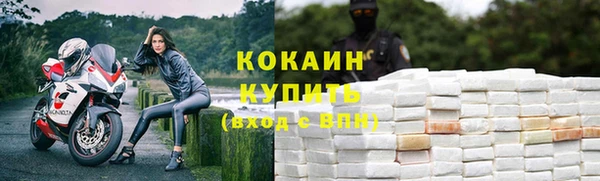 молекула духа Белокуриха