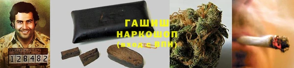 стаф Беломорск