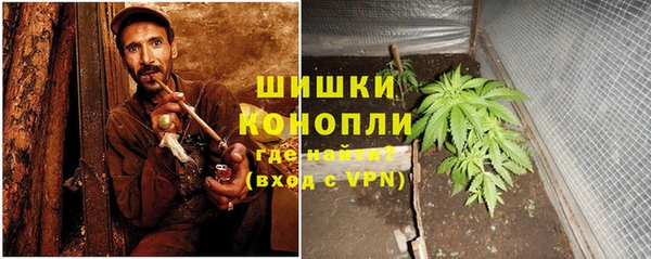 стаф Беломорск