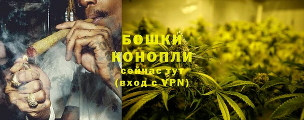молекула духа Белокуриха