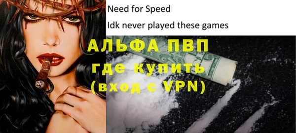 стаф Беломорск